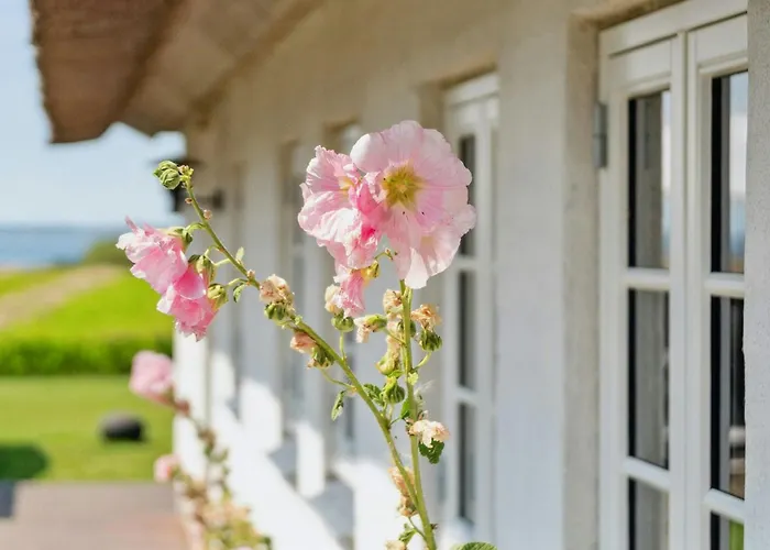 Idyllic Thatched With Sea View Vakantiehuis *